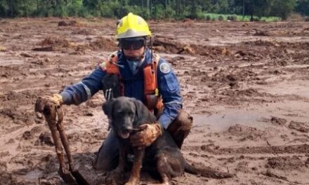 Socorristas que atuaram em Brumadinho trabalham na busca por vítimas da chuva em Rodeio