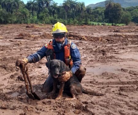 Socorristas que atuaram em Brumadinho trabalham na busca por vítimas da chuva em Rodeio