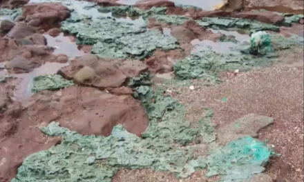 Rochas de plástico são descobertas em arquipélago quase inabitado no litoral brasileiro