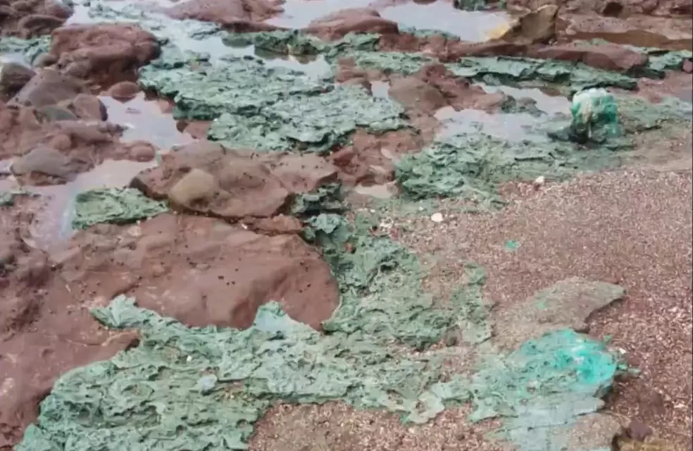 Rochas de plástico são descobertas em arquipélago quase inabitado no litoral brasileiro