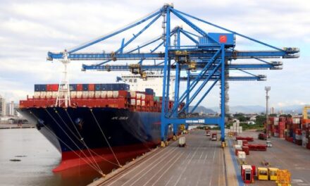 Porto de Navegantes recebe um dos maiores navios a atracar no país