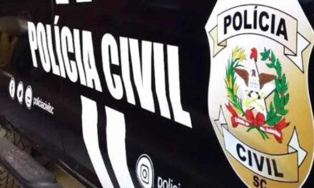 Em Santa Catarina, polícia prende jovem que usava perfis falsos para ameaçar escolas e creches
