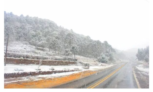 Cidades de Santa Catarina estão na rota da neve