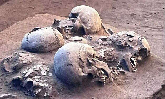 Fóssil humano de quase 12 mil anos é encontrado por pesquisadores