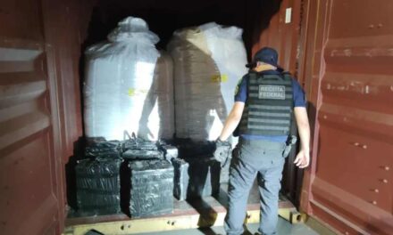 Carga suína no Porto de Navegantes, em SC, escondia 329 quilos de cocaína; quatro são presos