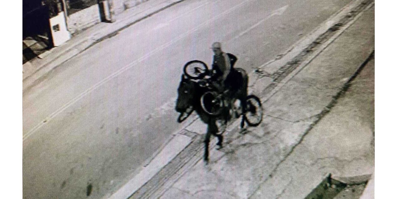 Homem furta três bicicletas e foge a cavalo em Lages 