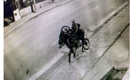 Homem furta três bicicletas e foge a cavalo em Lages 