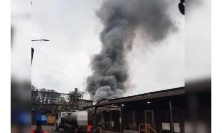Incêndio atinge área de grande indústria de Joinville