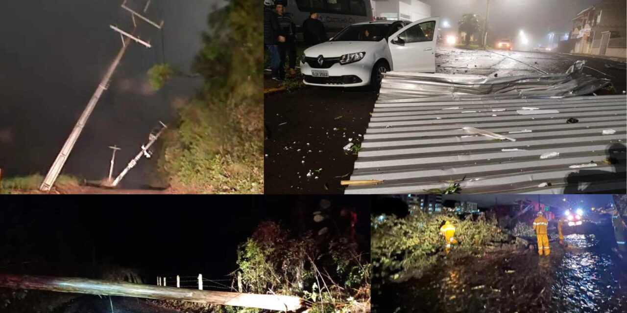 Ciclone arranca árvores, interdita estradas e causa estragos em SC