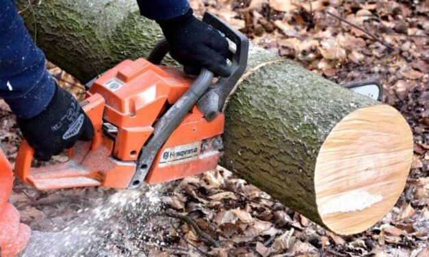 Idoso agride homem com motosserra após ser filmado enquanto podava árvore em SC