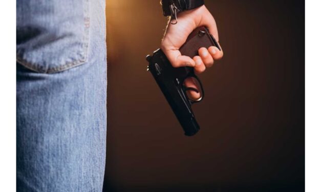 Polícia Militar efetuou a apreensão de três armas de fogo em Lages