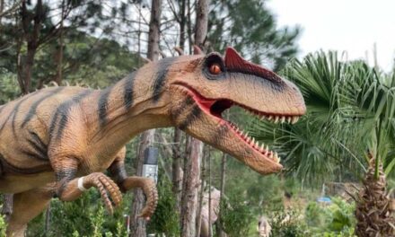 Parque de dinossauros em SC abre em setembro com investimento de R$ 60 milhões