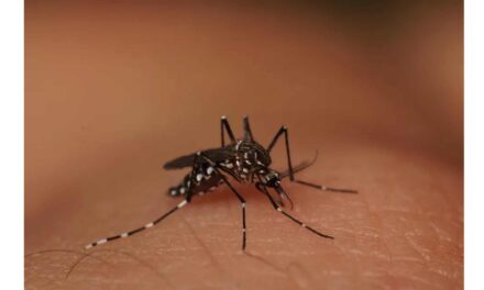 Cidade de SC registra maior número de mortes por dengue do Brasil em 2023