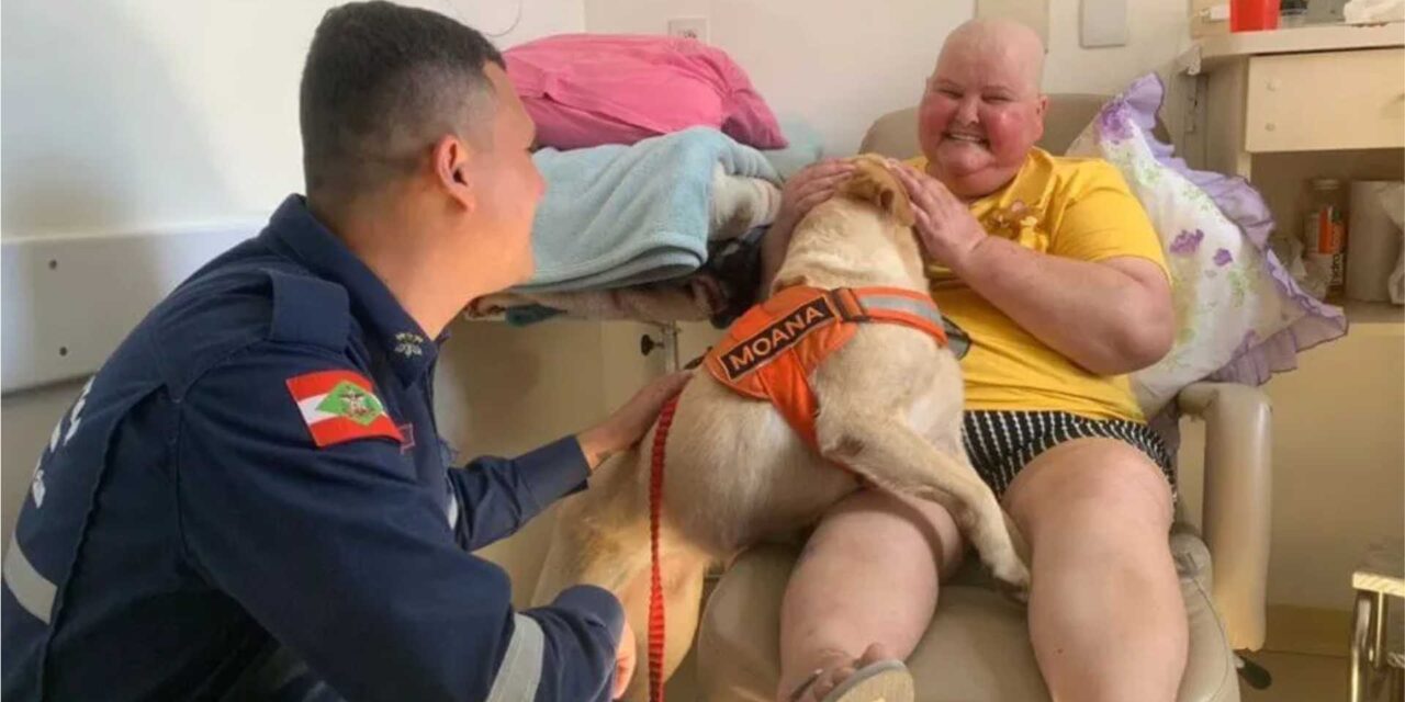 Cachorra dos bombeiros ganha crachá e vira voluntária em hospital de SC