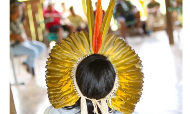 Censo do IBGE: população indígena de SC cresce 18,2% e chega a 21.541