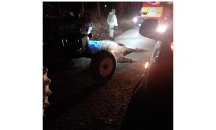 Acidente entre carro e cavalos deixa feridos em Otacílio Costa