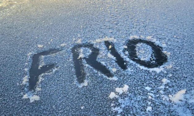 Cidades que mais nevam em SC amanhecem com temperaturas negativas e geada