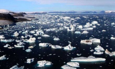 Nível de gelo marinho atinge baixa histórica na Antártida e acende alerta