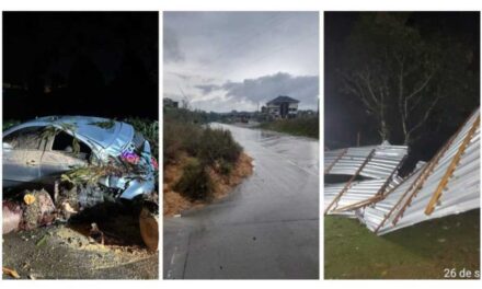 Passagem de ciclone em SC destelha casas e derruba árvores