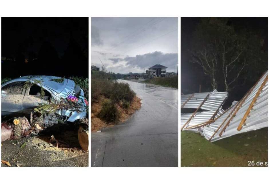 Passagem de ciclone em SC destelha casas e derruba árvores