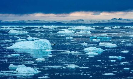 ONU faz alerta para um ‘colapso climático’ do planeta Terra