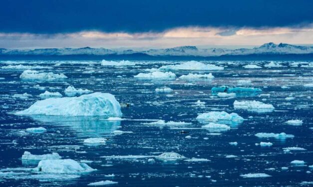 ONU faz alerta para um ‘colapso climático’ do planeta Terra