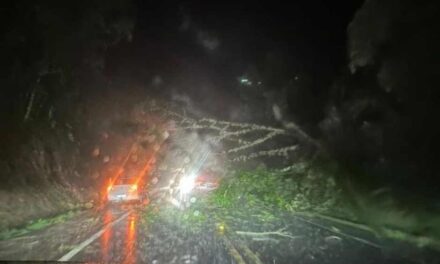 Com as chuvas, confira a situação das rodovias de Santa Catarina