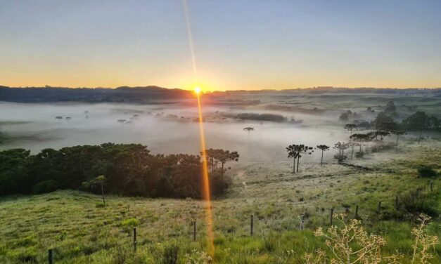 Geada em pleno verão surpreende e campos ficam recobertos de gelo na Serra Catarinense