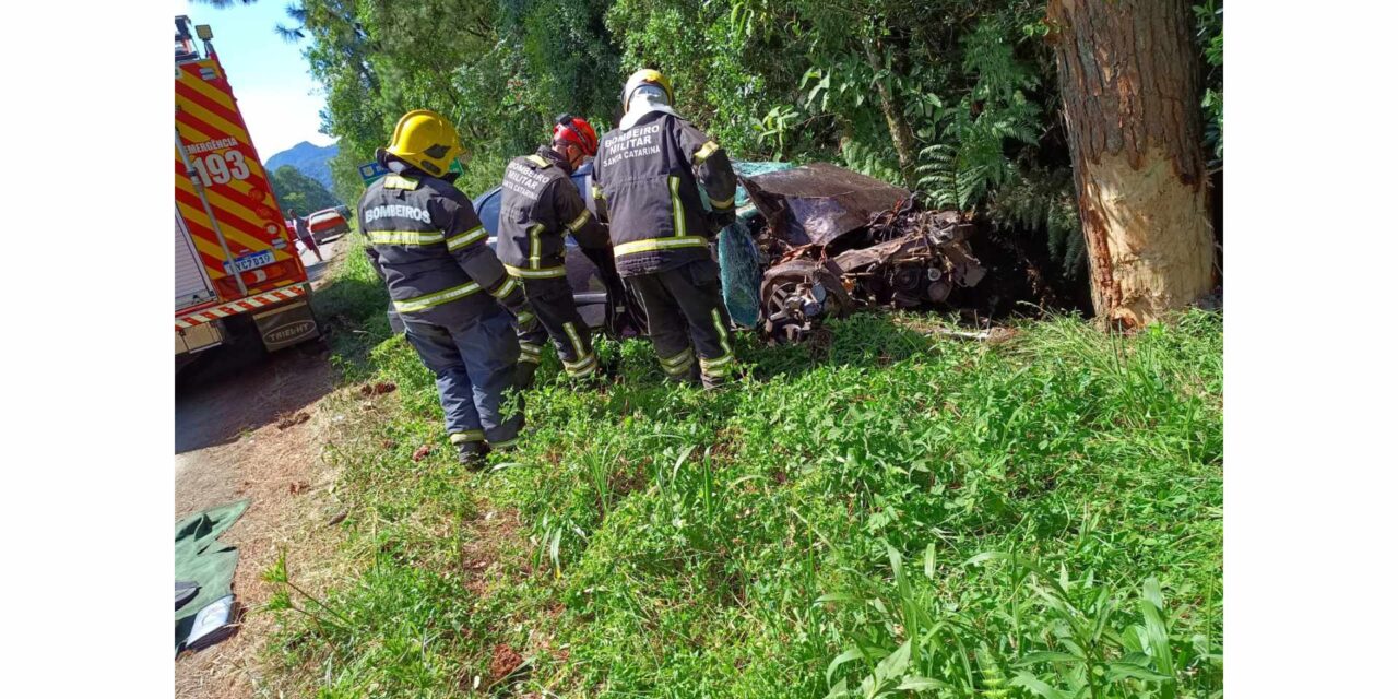 Colisão em árvore resulta em morte na BR-470 em Pouso Redondo