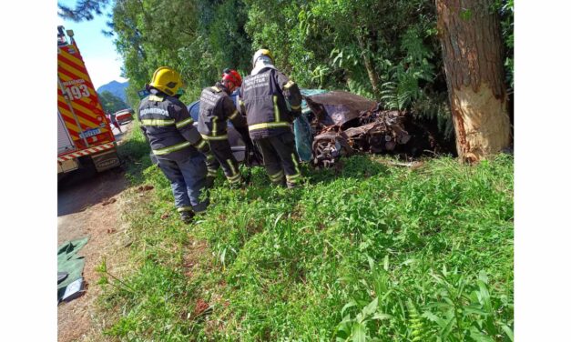 Colisão em árvore resulta em morte na BR-470 em Pouso Redondo