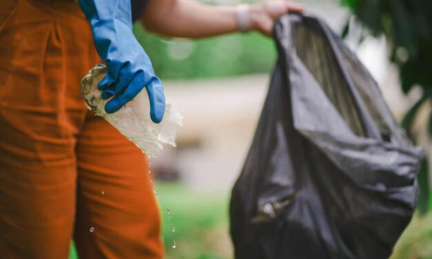 SC tem aumento de 105% de casos prováveis de dengue