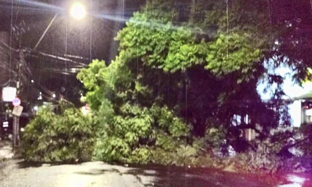 Porto Alegre tem noite de pavor com temporal violento e destrutivo