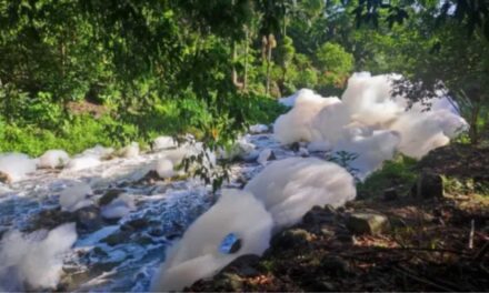 Transportadora que derramou ácido sulfônico em rio é multada em R$3,3 milhões