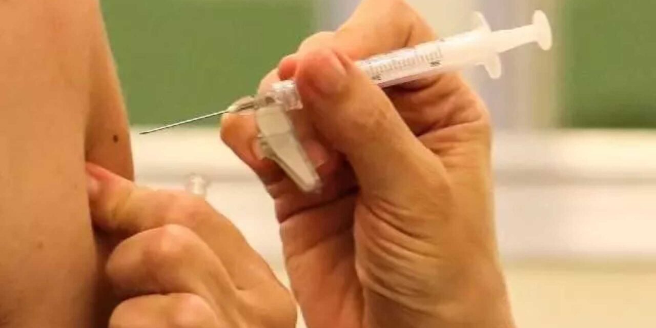 Vacinas contra dengue chegam em SC; confira os municípios contemplados