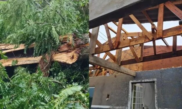 Forte chuva causa destelhamentos, queda de árvores e falta de luz em SC