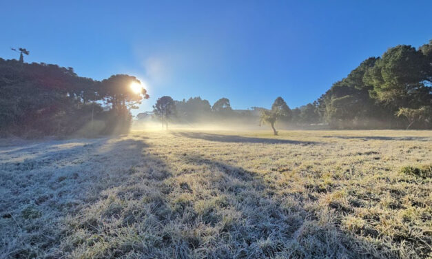 Frio chega a SC e cidades amanhecem com temperaturas abaixo de zero