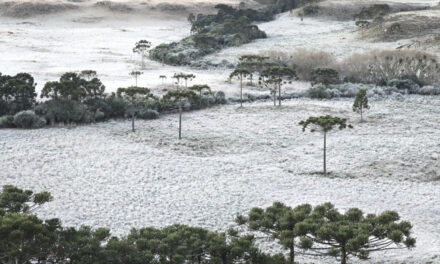 Frio extremo “congela” cidades na Serra de SC e mínimas ficam abaixo de zero