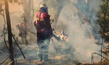 Áreas do Brasil podem ficar inabitáveis em 50 anos, segundo estudo da Nasa