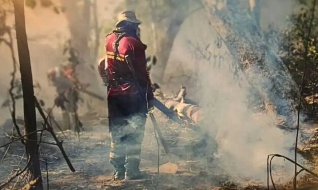 Áreas do Brasil podem ficar inabitáveis em 50 anos, segundo estudo da Nasa