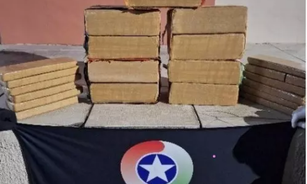 PM intercepta carregamento de 50 Kg de maconha que seria comercializada em Lages