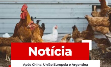 Após China, União Europeia e Argentina suspendem compra de frango do Brasil