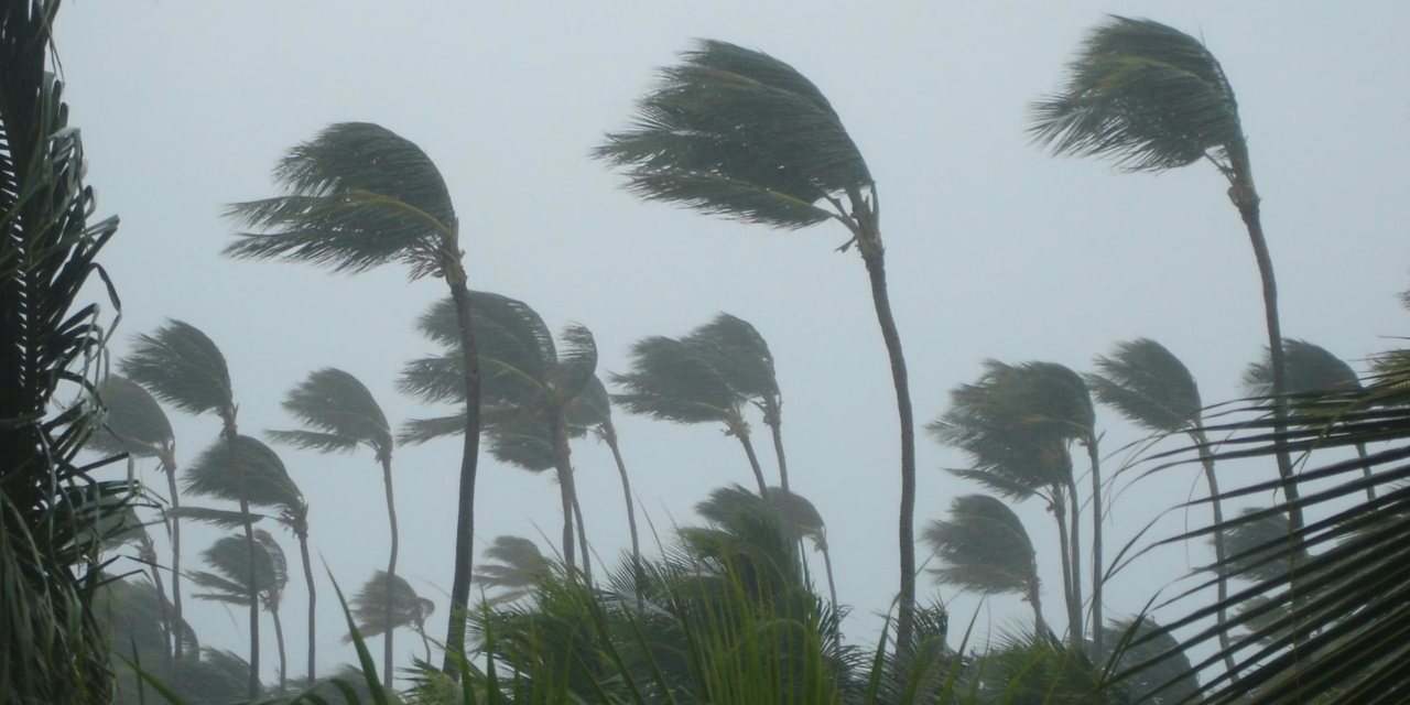 Ventos e granizo causam danos em cidades de SC