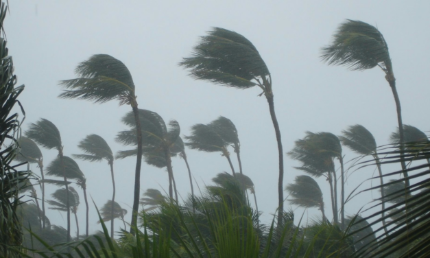 Ventos e granizo causam danos em cidades de SC