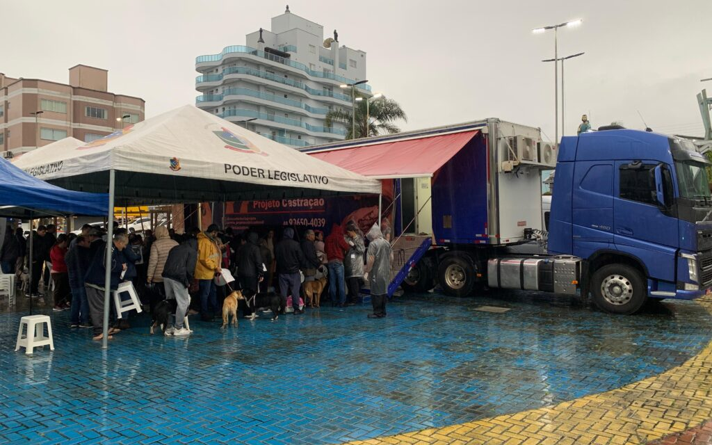 Campanha de castração beneficia 124 cães e gatos em Otacílio Costa