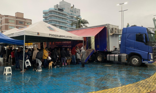 Campanha de castração beneficia 124 cães e gatos em Otacílio Costa