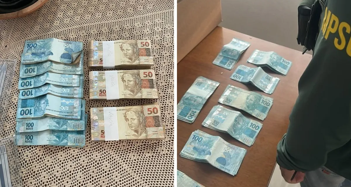 Prefeituras de SC e empresas são alvos de 51 mandados por corrupção milionária em contratos públicos